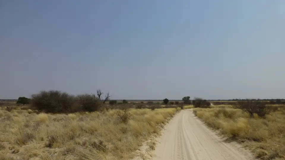 P1080075.JPG
