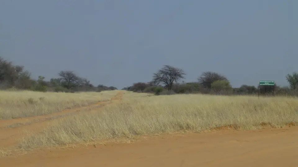 P1080134.JPG