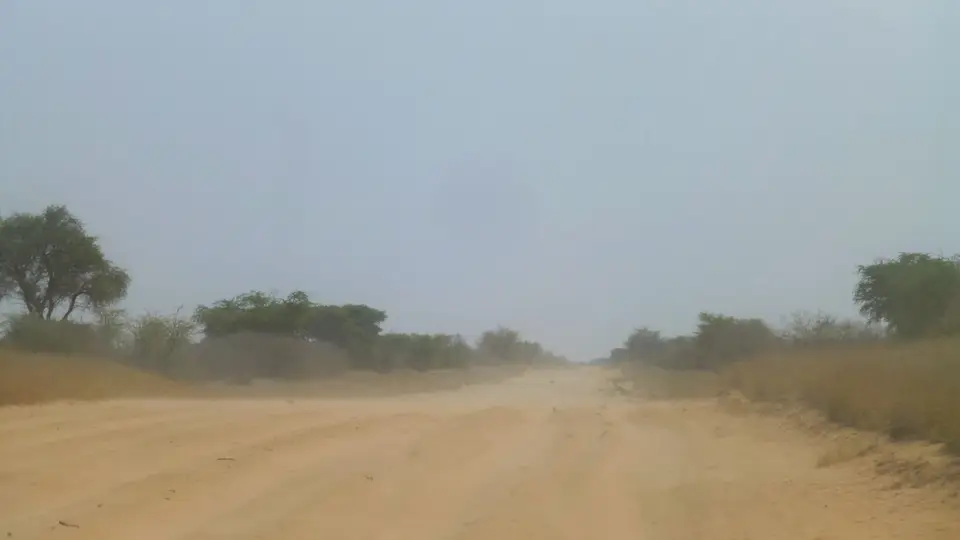 P1080187.JPG