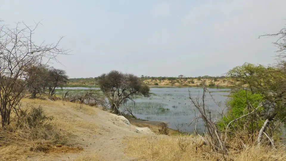 P1080343.JPG