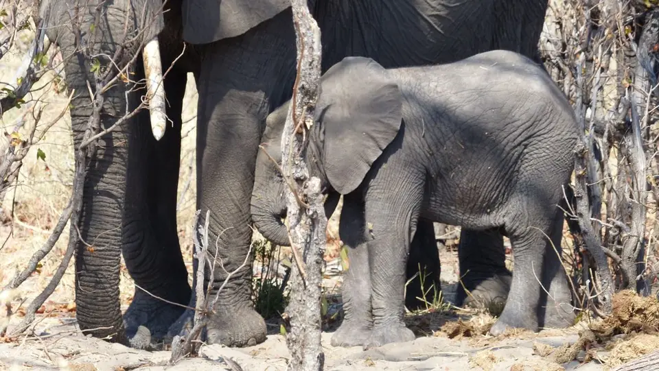 h4207059.JPG
