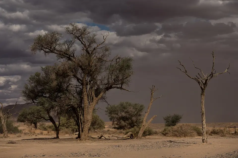 1396Sossusvlei29042017.jpg