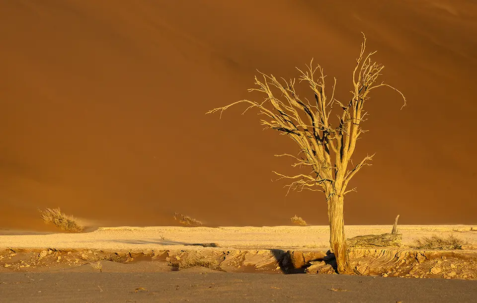 1475Hiddenvlei29042017.jpg