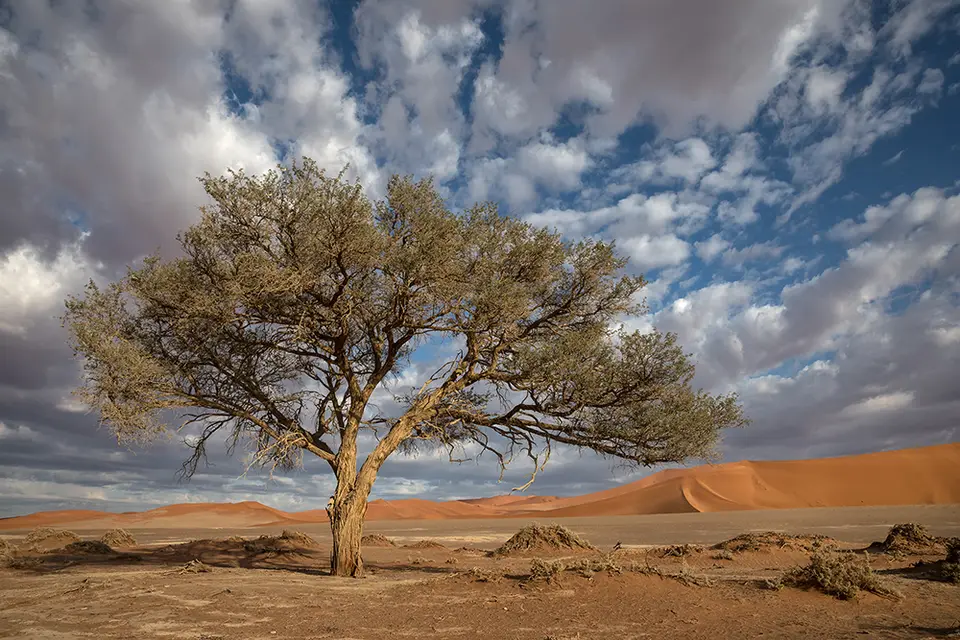 1520Sossusvlei30042017.jpg