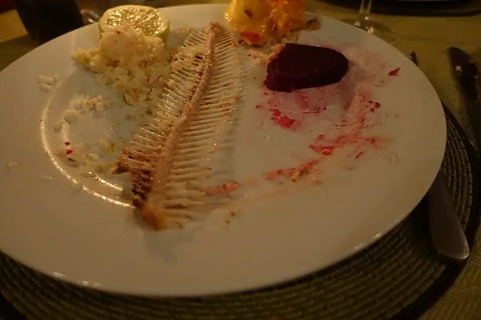 DSC02474.JPG