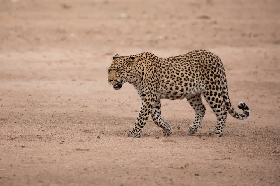 IKN00490.jpg