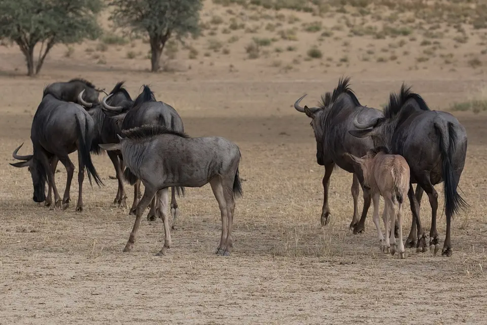 L1NA2532.jpg