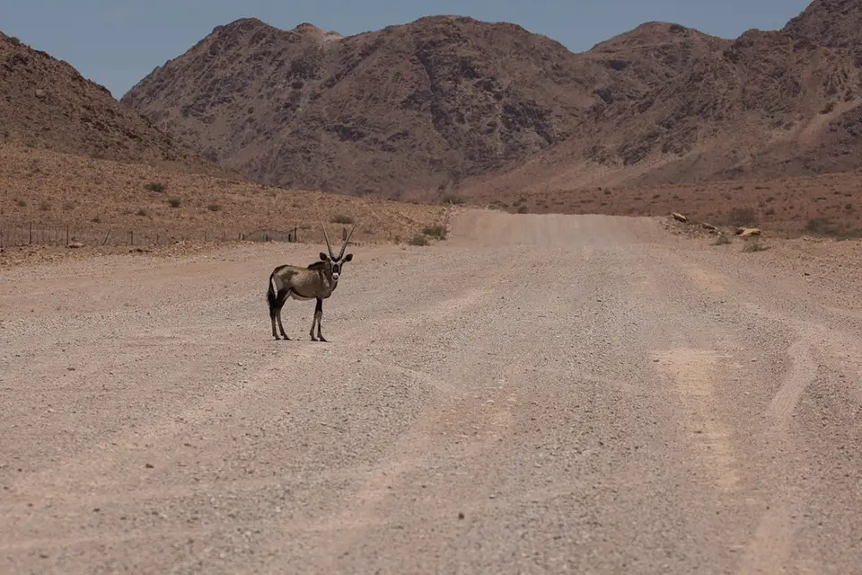 NA6I8174.jpg