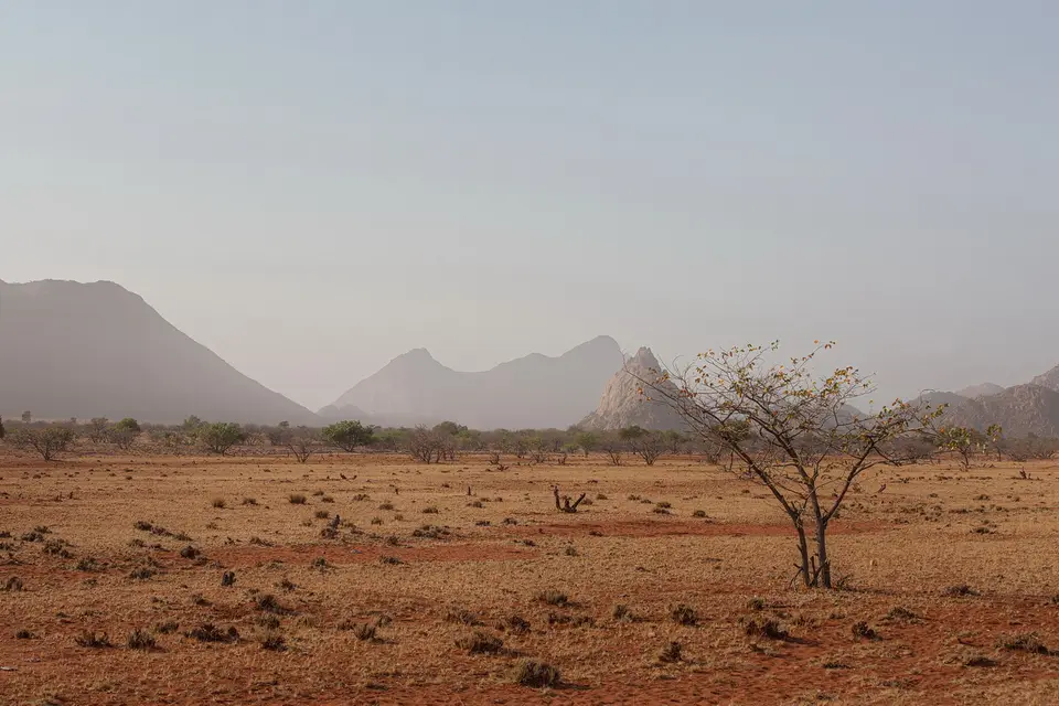 NABW00185.jpg