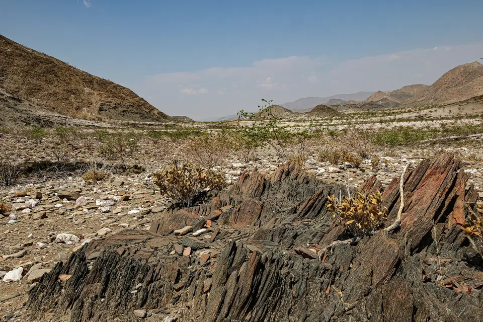 NABW0220.jpg