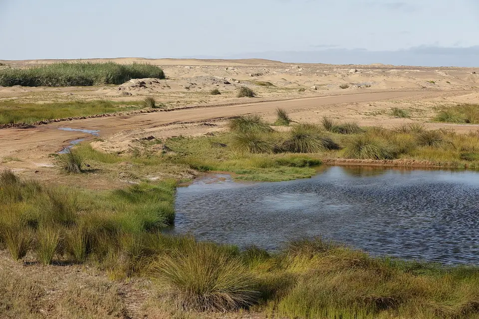 h1047879.JPG