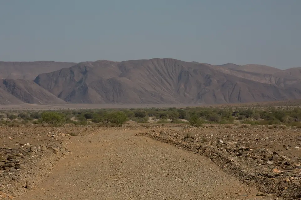 h68219cb.jpg