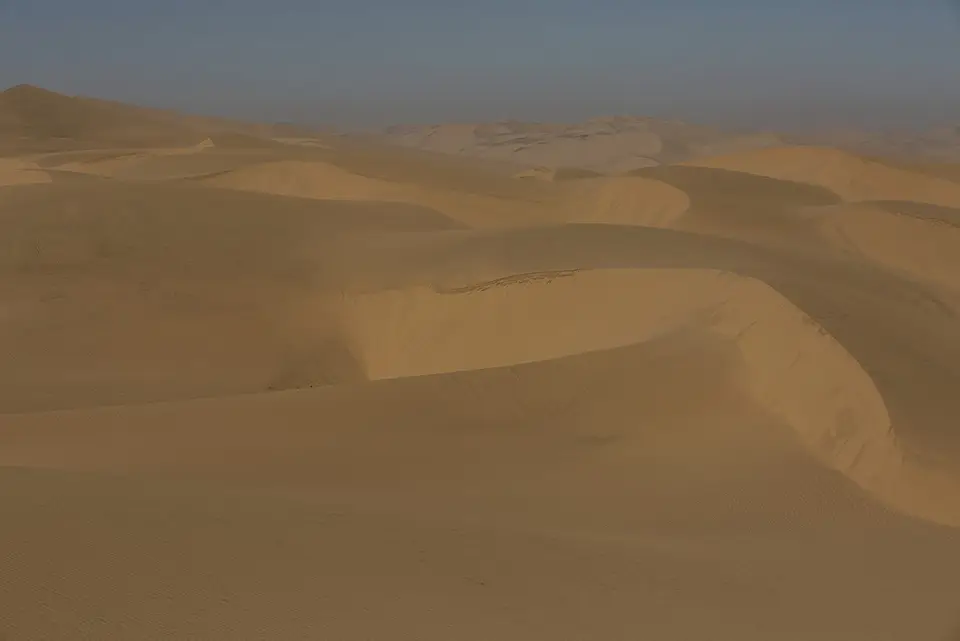 h794f221.JPG