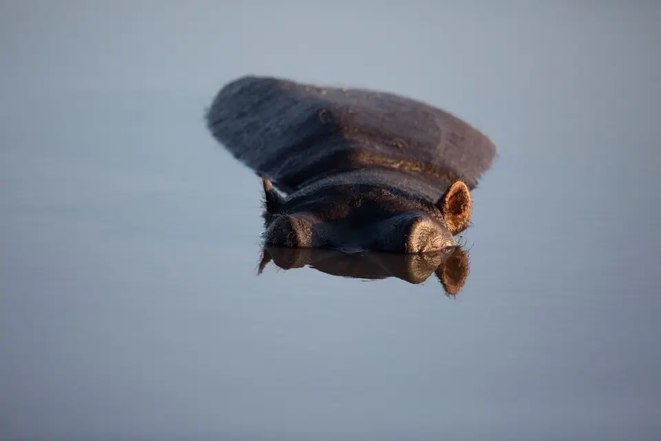 h953d6ce_2015-07-10.jpg