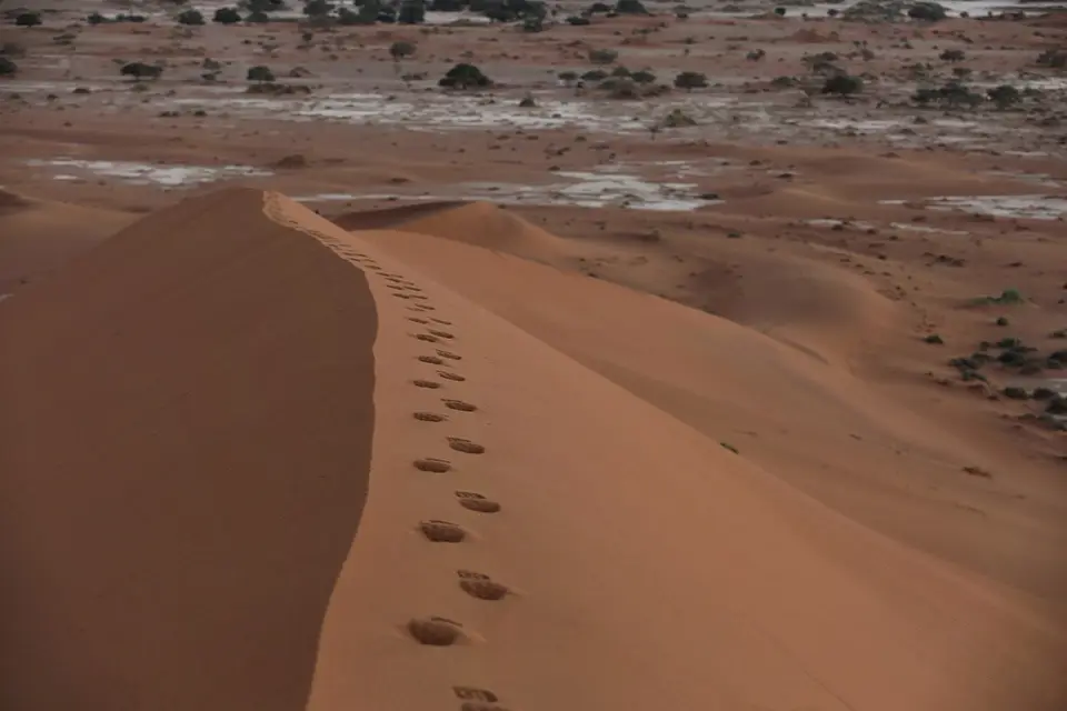 ha7ea549.JPG