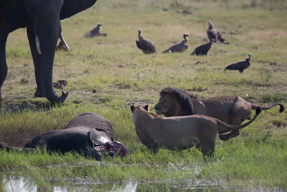 hf566116.jpg