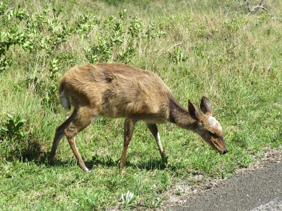 h0006fff.JPG