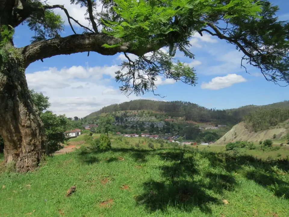 hd0c4db7.JPG