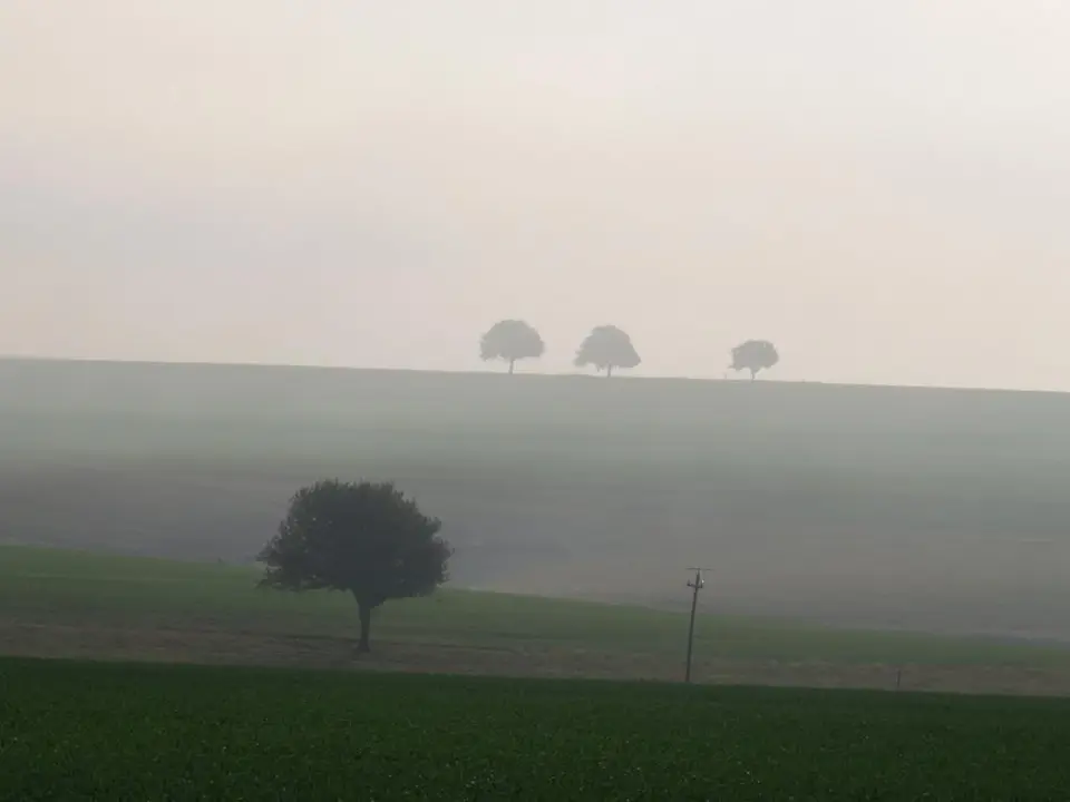 hfb52315.JPG