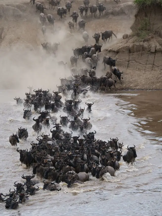 5crossing.jpg