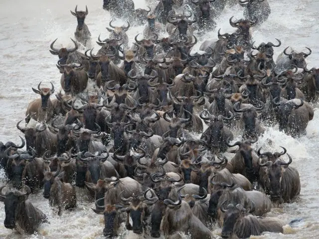 6crossing.jpg