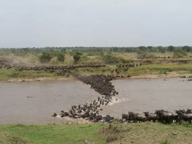 7crossing.jpg