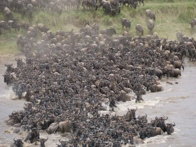 8crossing.jpg