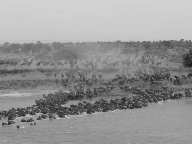 9crossing.jpg