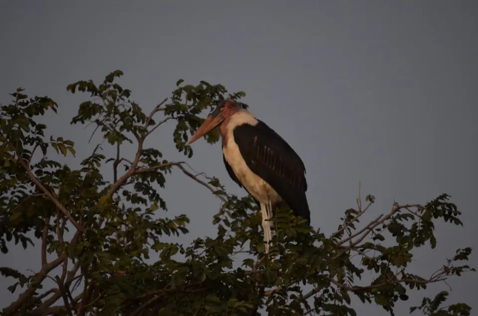 DSC_0943.JPG