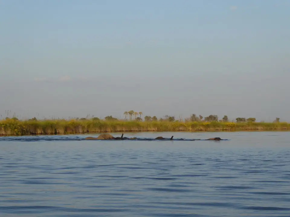 17_P1050677.JPG