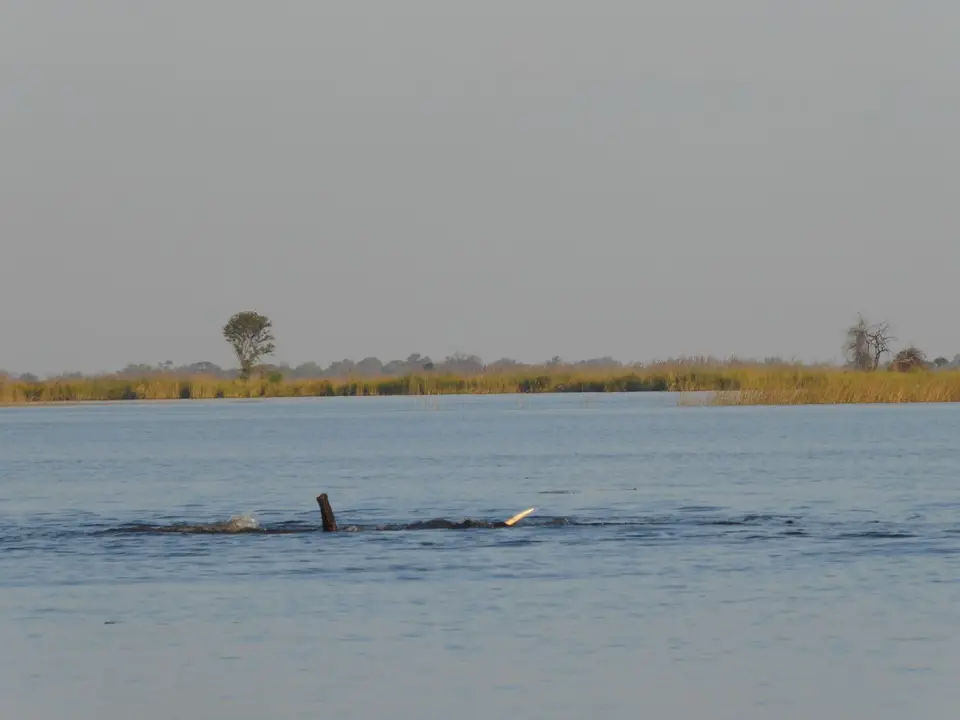 18_P1050666.JPG