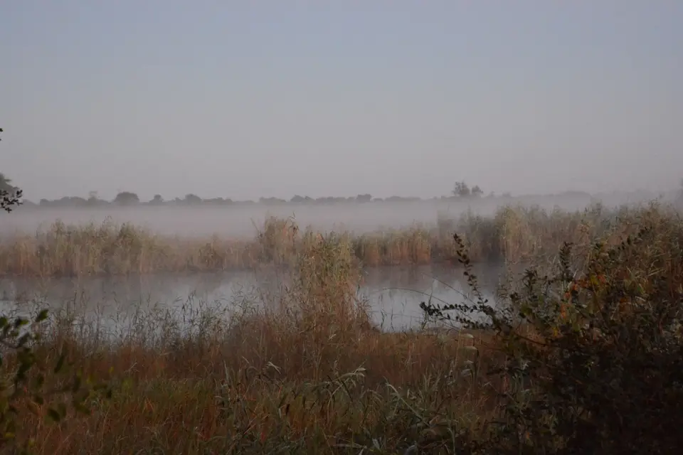 G71_1271.JPG