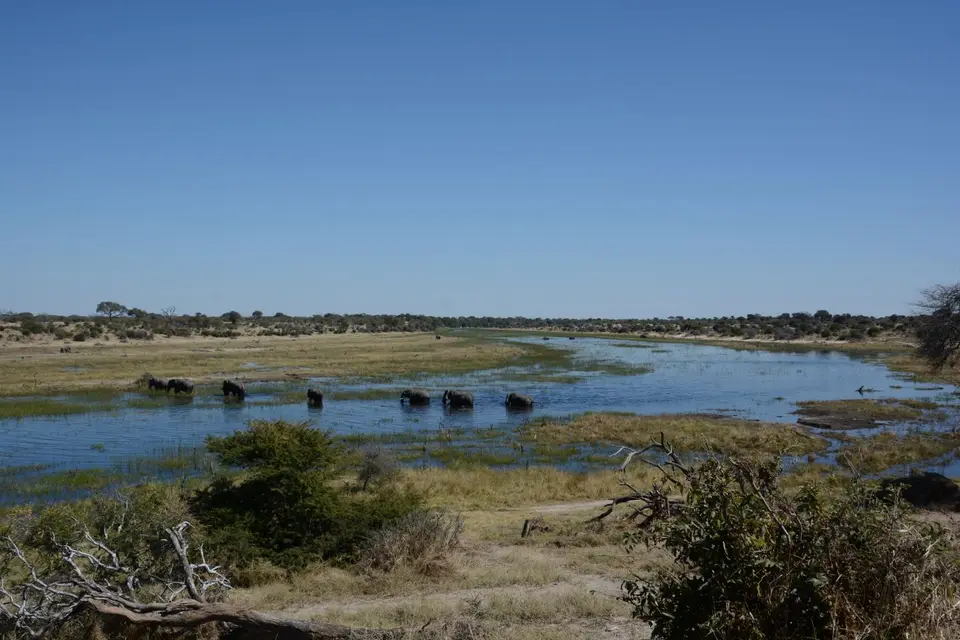 G71_2368.JPG