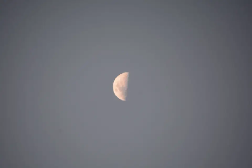 G71_3491.JPG