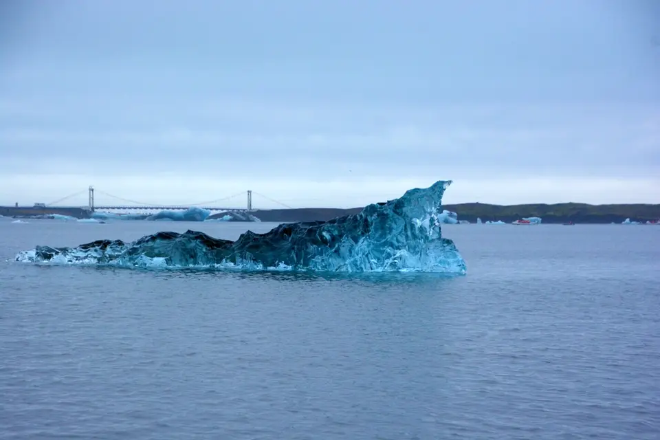 G71_7986.JPG