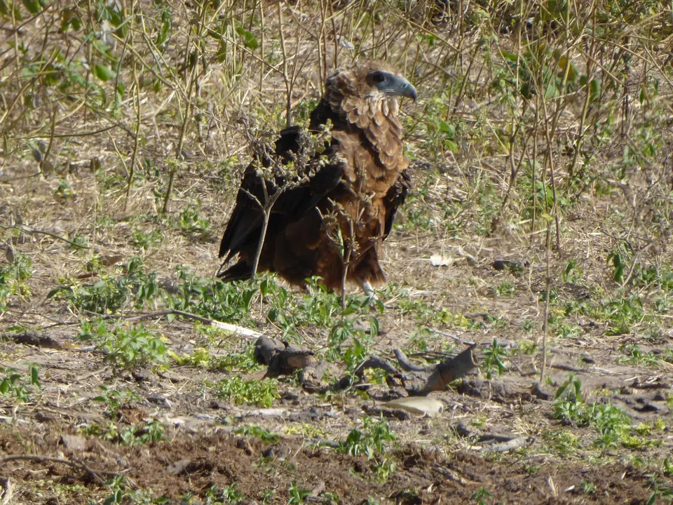 P1010840.JPG