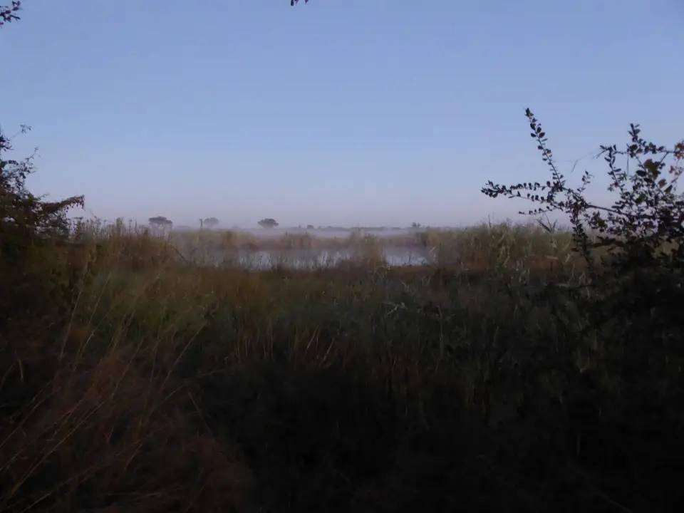 P1020287.JPG
