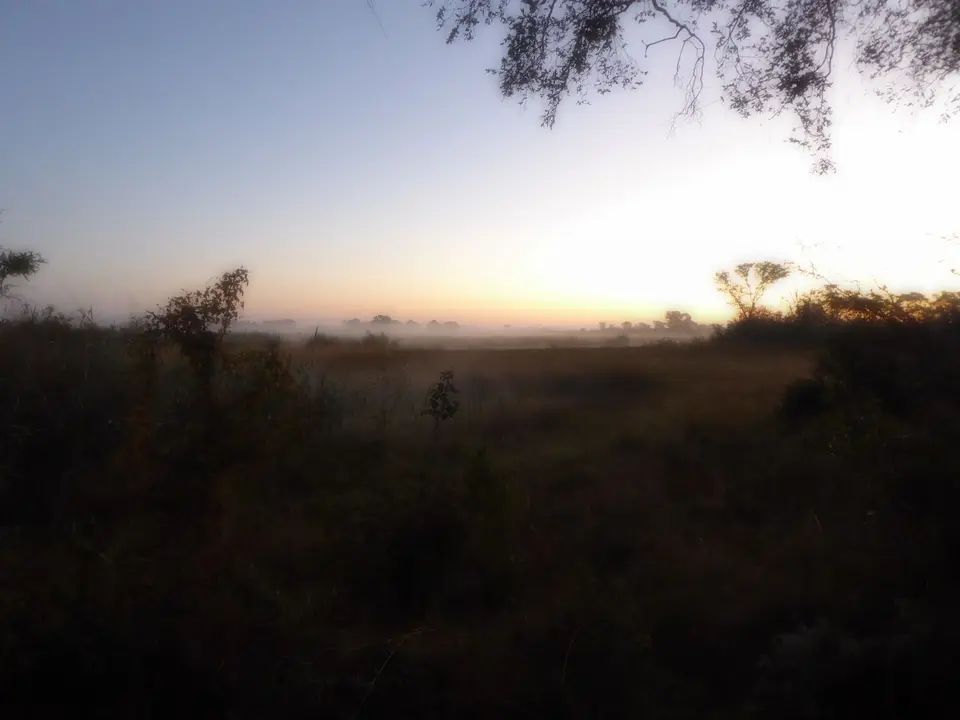 P1020291.JPG
