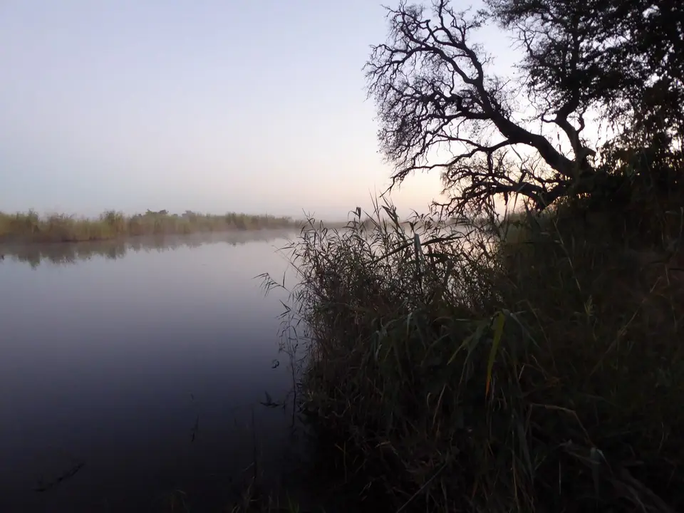 P1020297.JPG