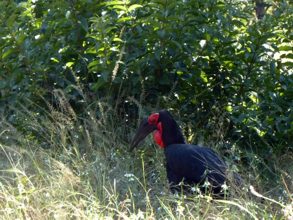 P1020943.JPG
