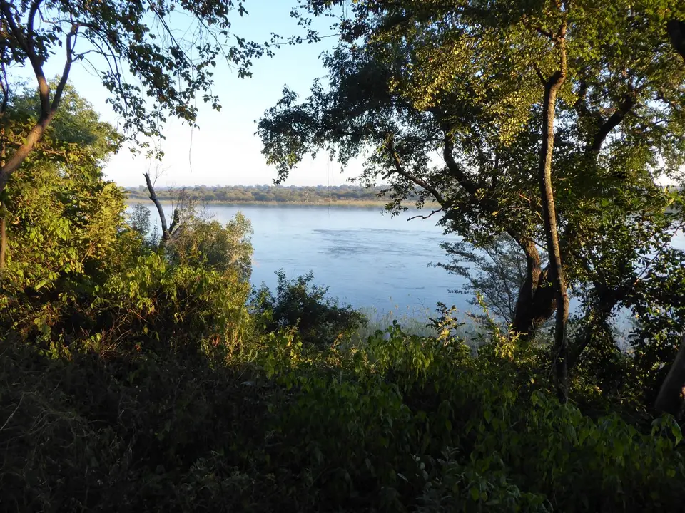 P1020975.JPG