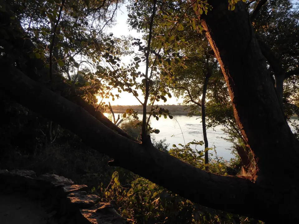 P1030200.JPG