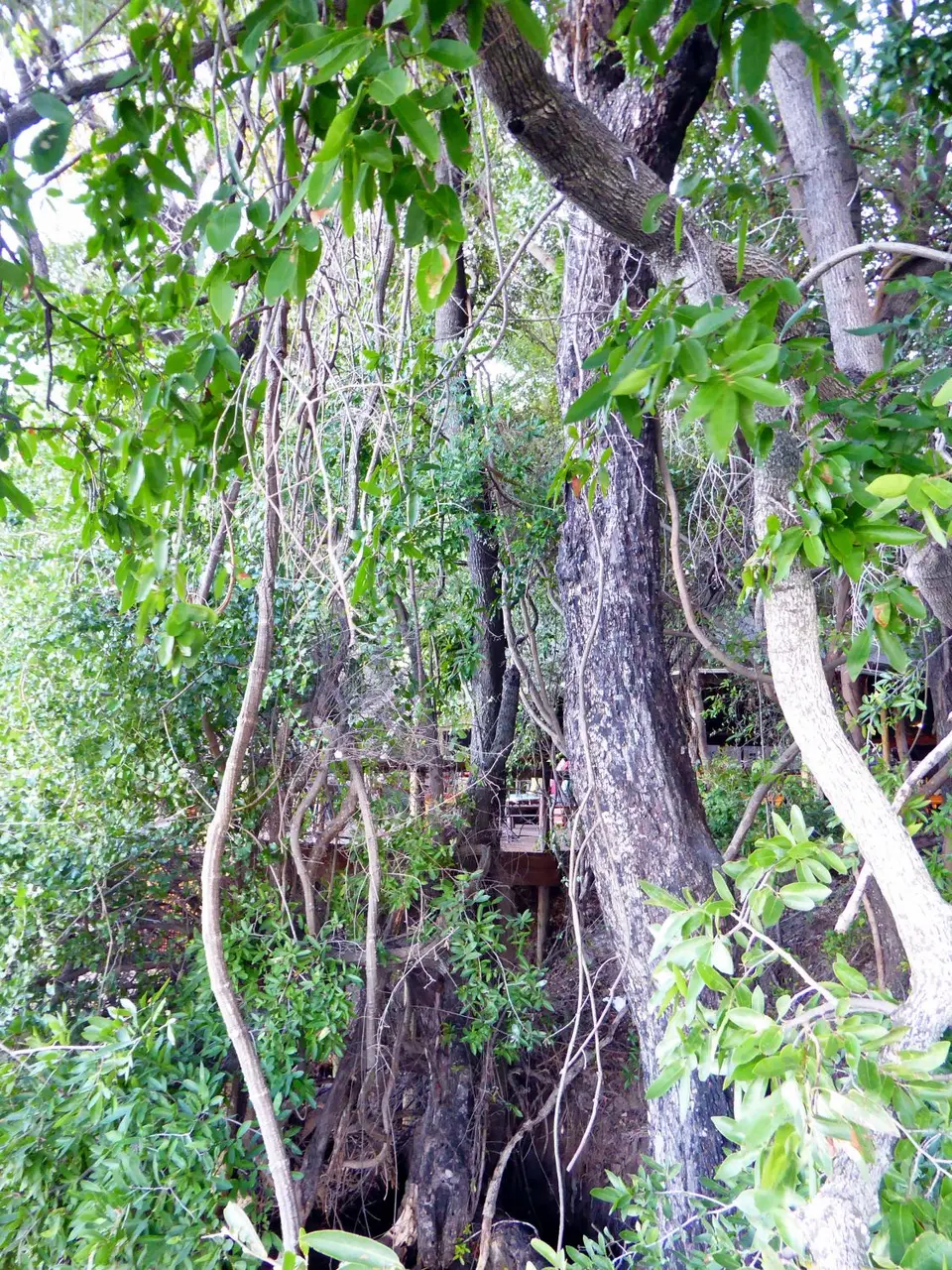 P1030436.JPG
