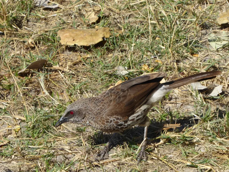 P1050380.JPG