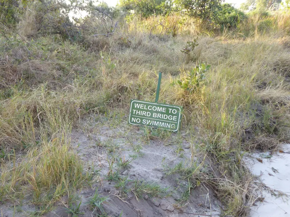 P1050810.JPG