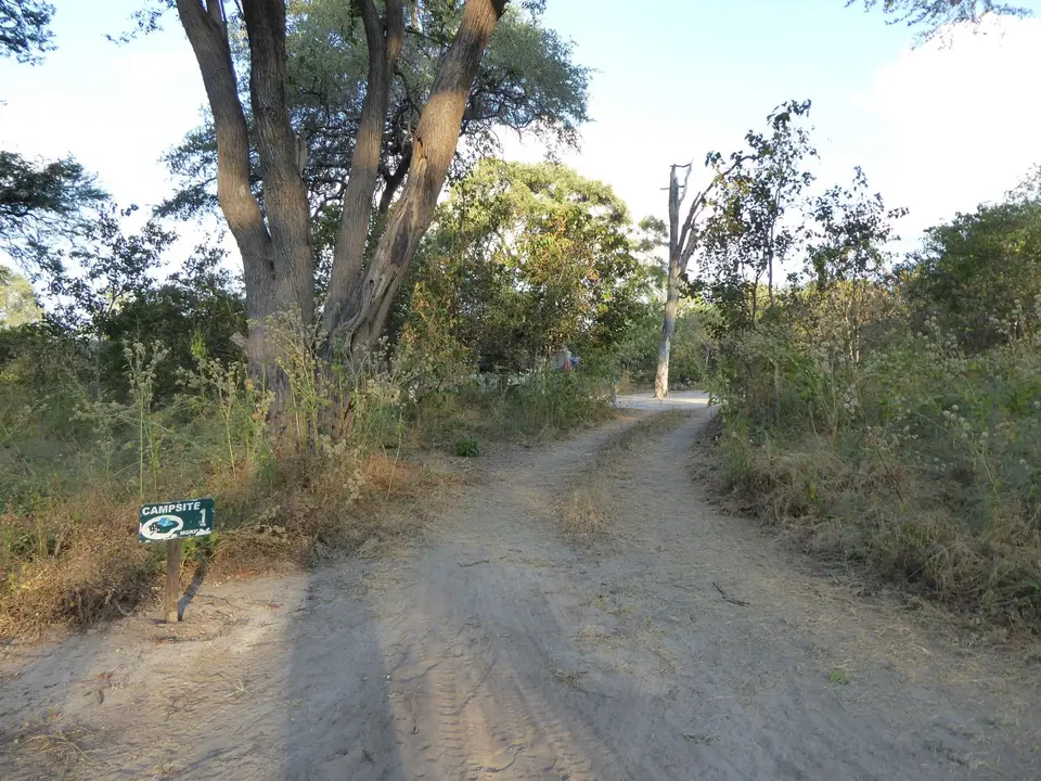 P1050831.JPG
