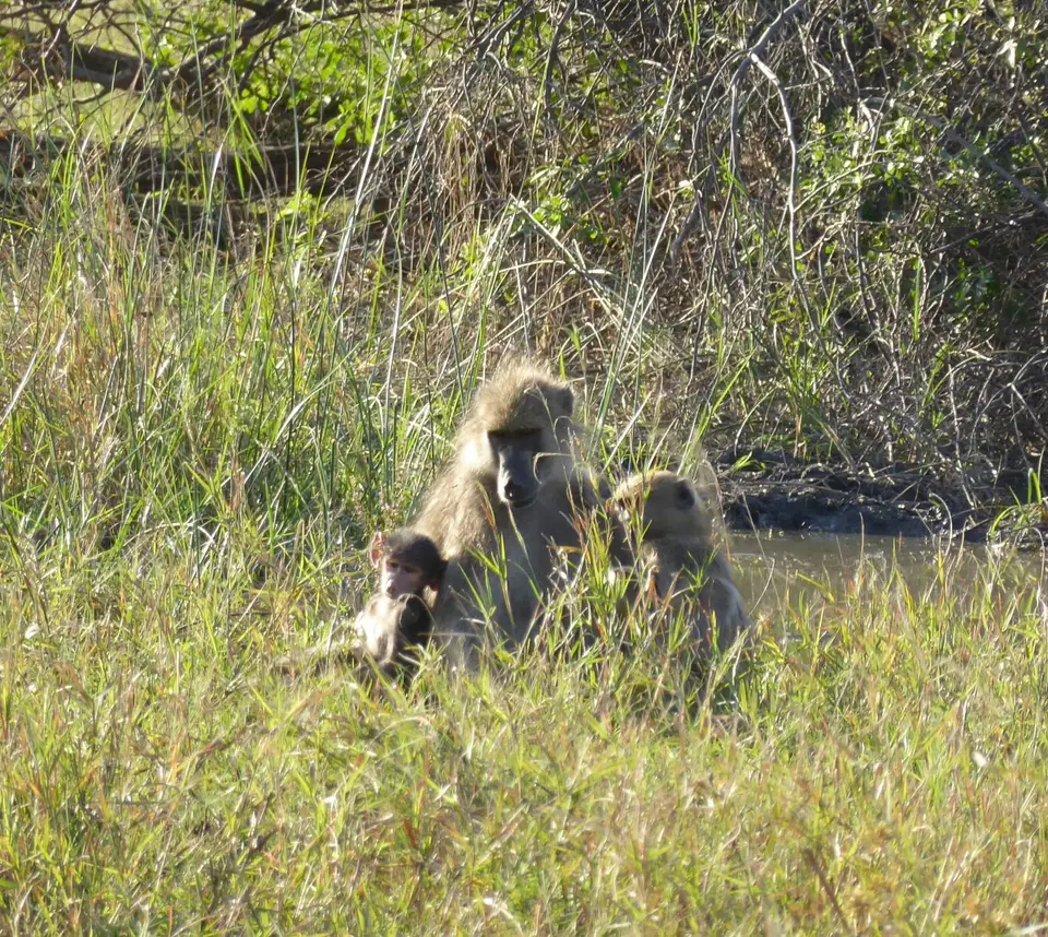 P1060038-2.JPG