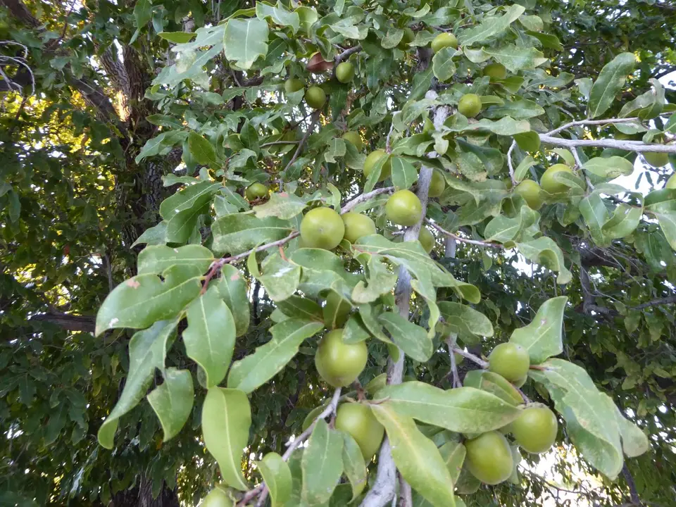 P1100167.JPG