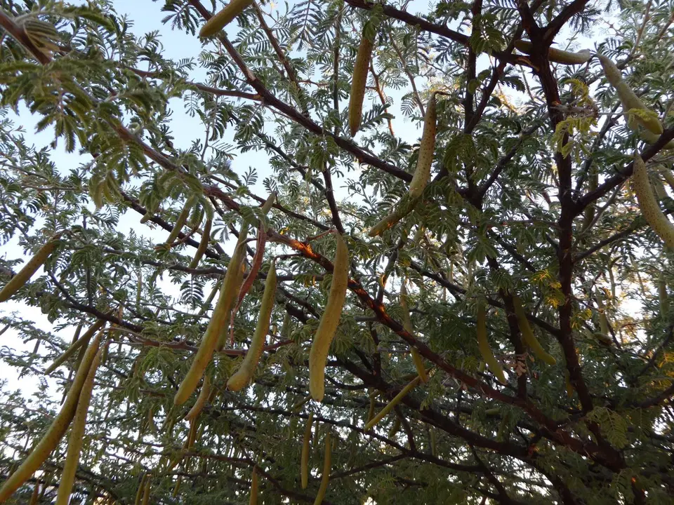 P1100168.JPG