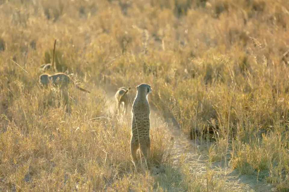 P1250286.JPG